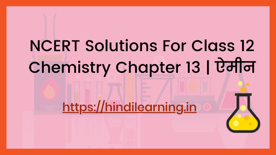 NCERT Solutions For Class 12 Chemistry Chapter 13 | ऐमीन