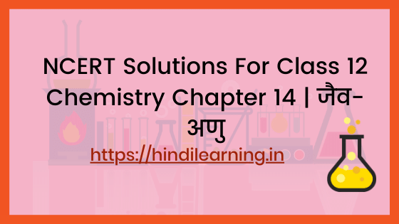 NCERT Solutions For Class 12 Chemistry Chapter 14 _ जैव-अणु