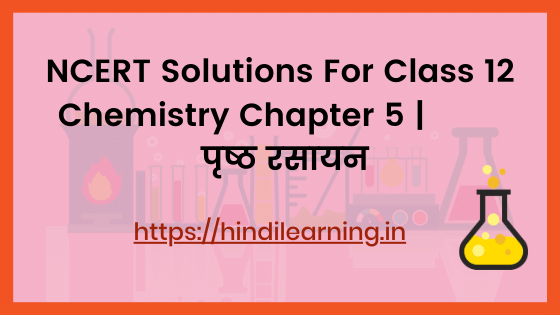 NCERT Solutions For Class 12 Chemistry Chapter 5 | पृष्ठ रसायन
