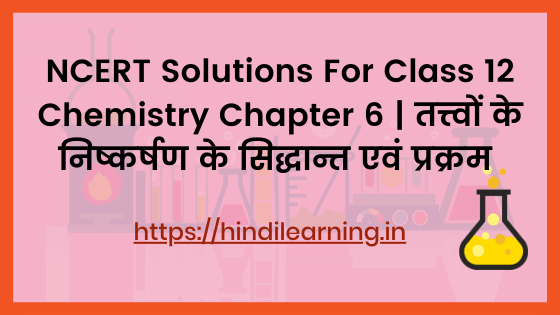 NCERT Solutions For Class 12 Chemistry Chapter 6 | तत्त्वों के निष्कर्षण के सिद्धान्त एवं प्रक्रम