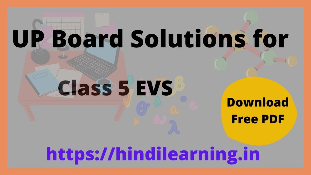 UP Board Solutions for Class 5 Environmental Studies