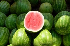 water melon in hindi