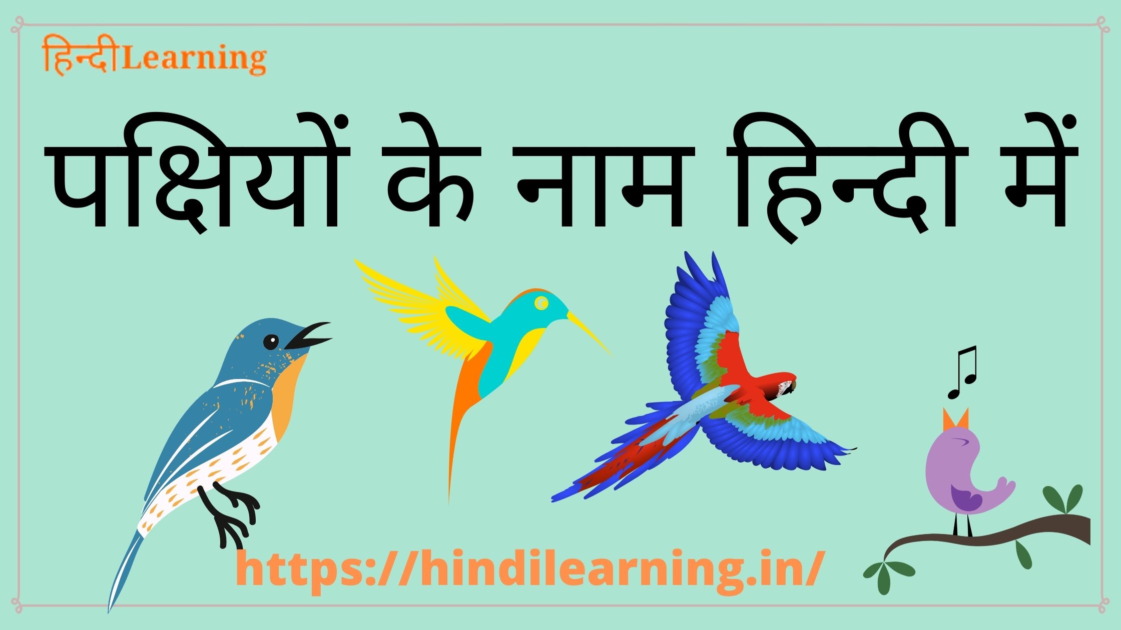 Birds Name in Hindi and English ( Picture) | पक्षियों के नाम हिन्दी में