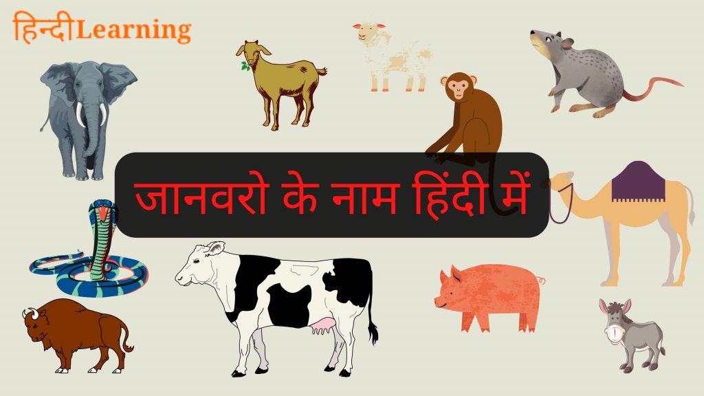 90+ Animals name in Hindi and English | जानवरो के नाम हिंदी में