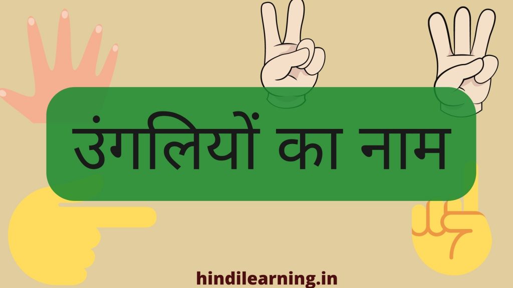 Fingers Name in Hindi and English